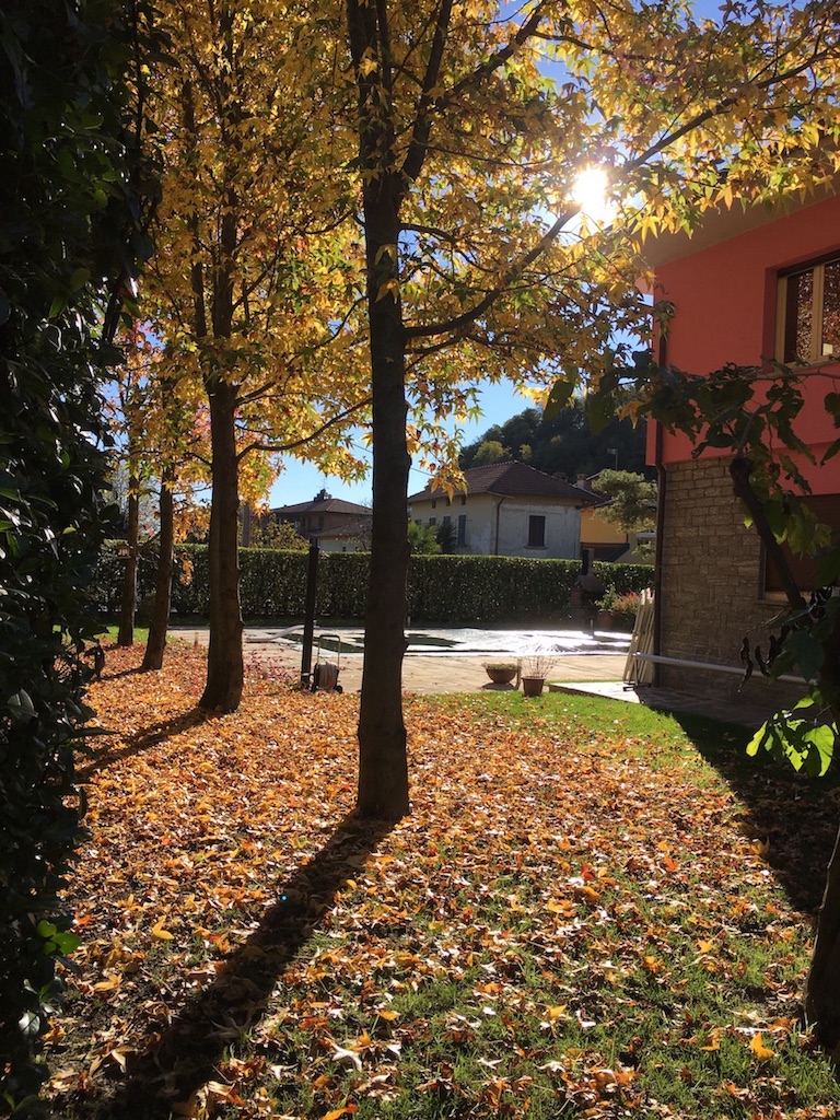 autunno la rosa del lago